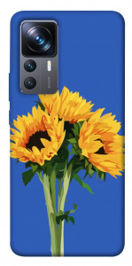 Чехол Bouquet of sunflowers для Xiaomi 12T