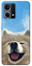 Чохол Samoyed husky для Oppo Reno 7 4G