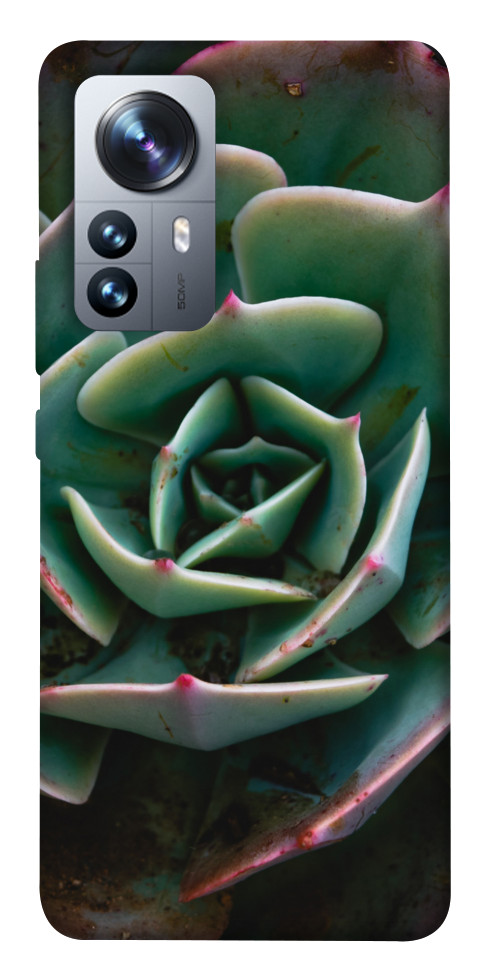 Чохол Ехеверія для Xiaomi 12 Pro