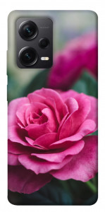 Чехол Роза в саду для Xiaomi Redmi Note 12 Pro 5G