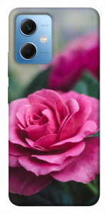 Чехол Роза в саду для Xiaomi Redmi Note 12 5G