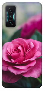 Чехол Роза в саду для Xiaomi Redmi K50 Gaming