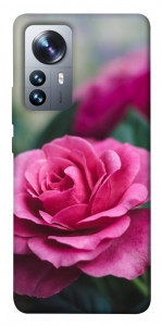 Чехол Роза в саду для Xiaomi 12 Pro
