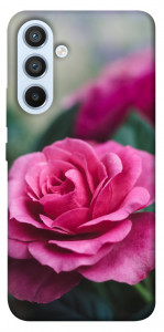 Чехол Роза в саду для Galaxy A54 5G