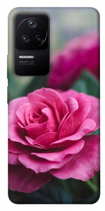 Чехол Роза в саду для Xiaomi Poco F4 5G