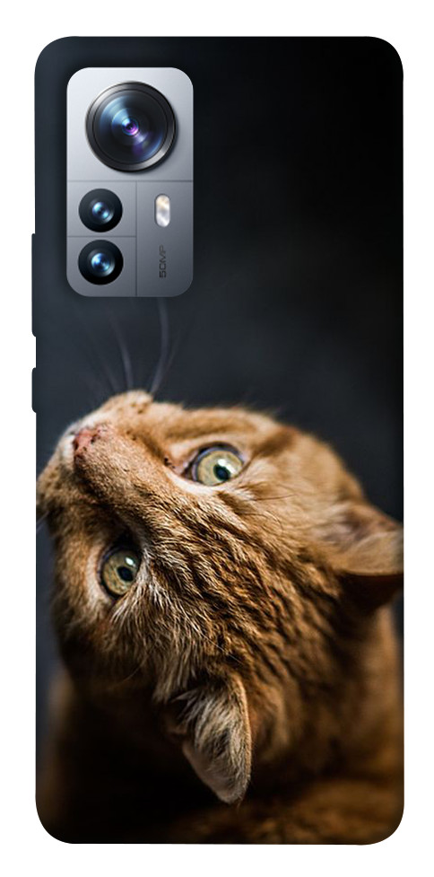 

Чехол Рыжий кот для Xiaomi 12S Pro 1489051