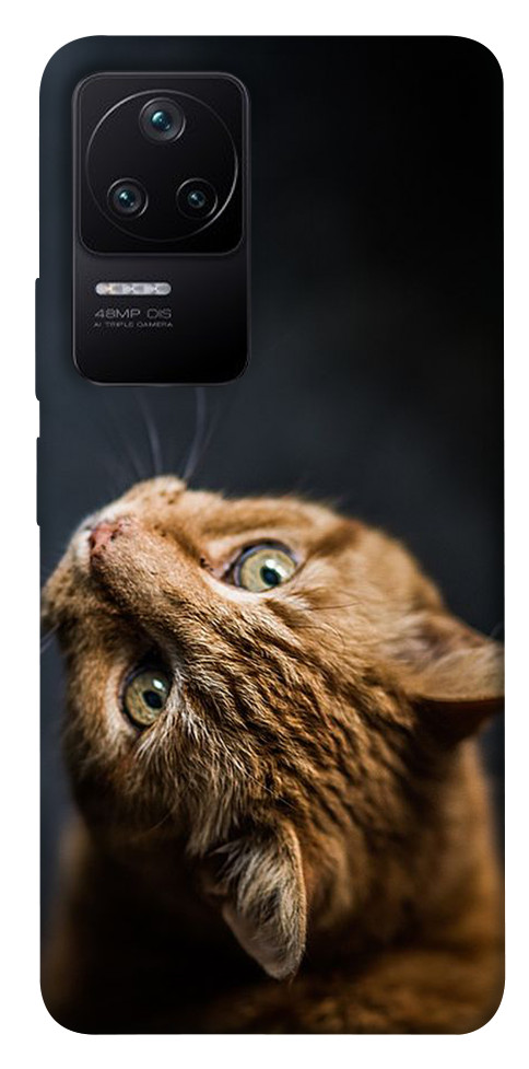 

Чехол Рыжий кот для Xiaomi Poco F4 5G 1489061