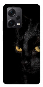 Чехол Черный кот для Xiaomi Redmi Note 12 Pro 5G