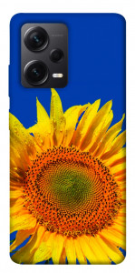 Чохол Sunflower для Xiaomi Redmi Note 12 Pro 5G