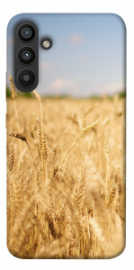 Чехол Поле пшеницы для Galaxy A34 5G