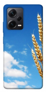 Чехол Пшеница для Xiaomi Redmi Note 12 Pro 5G