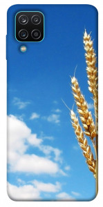 Чехол Пшеница для Galaxy M12