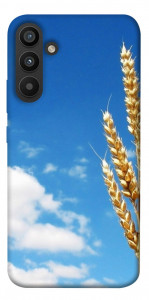 Чехол Пшеница для Galaxy A34 5G