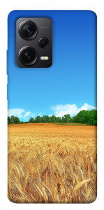 Чехол Пшеничное поле для Xiaomi Redmi Note 12 Pro 5G