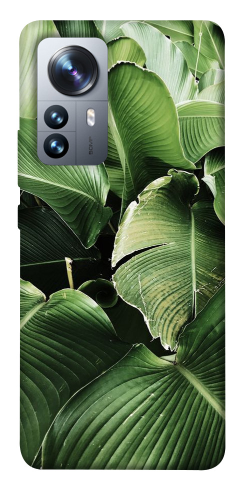 

Чехол Тропическая листва для Xiaomi 12 Pro 1490506