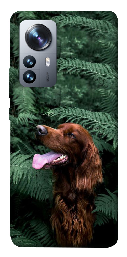 

Чехол Собака в зелени для Xiaomi 12S Pro 1492955