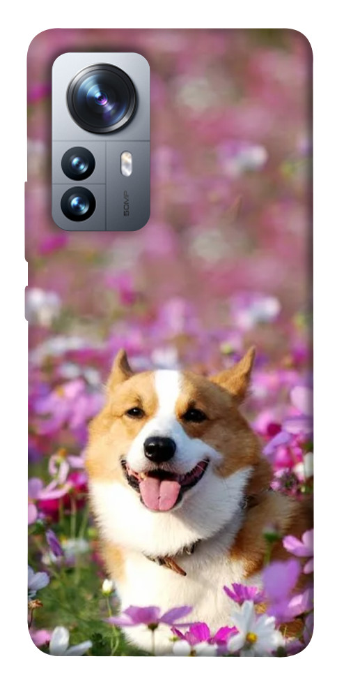 

Чехол Корги в цветах для Xiaomi 12 Pro 1493018