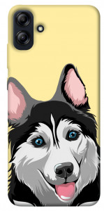 Чехол Husky dog для Galaxy A04e