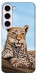 Чохол Proud leopard для Galaxy S23+