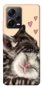 Чехол Cats love для Xiaomi Redmi Note 12 Pro 5G