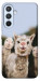 Чехол Funny llamas для Galaxy A54 5G