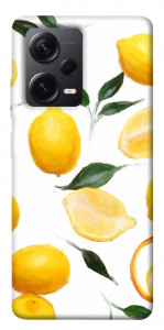 Чехол Lemons для Xiaomi Redmi Note 12 Pro 5G