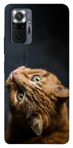 Чохол Рудий кіт для Xiaomi Redmi Note 10 Pro