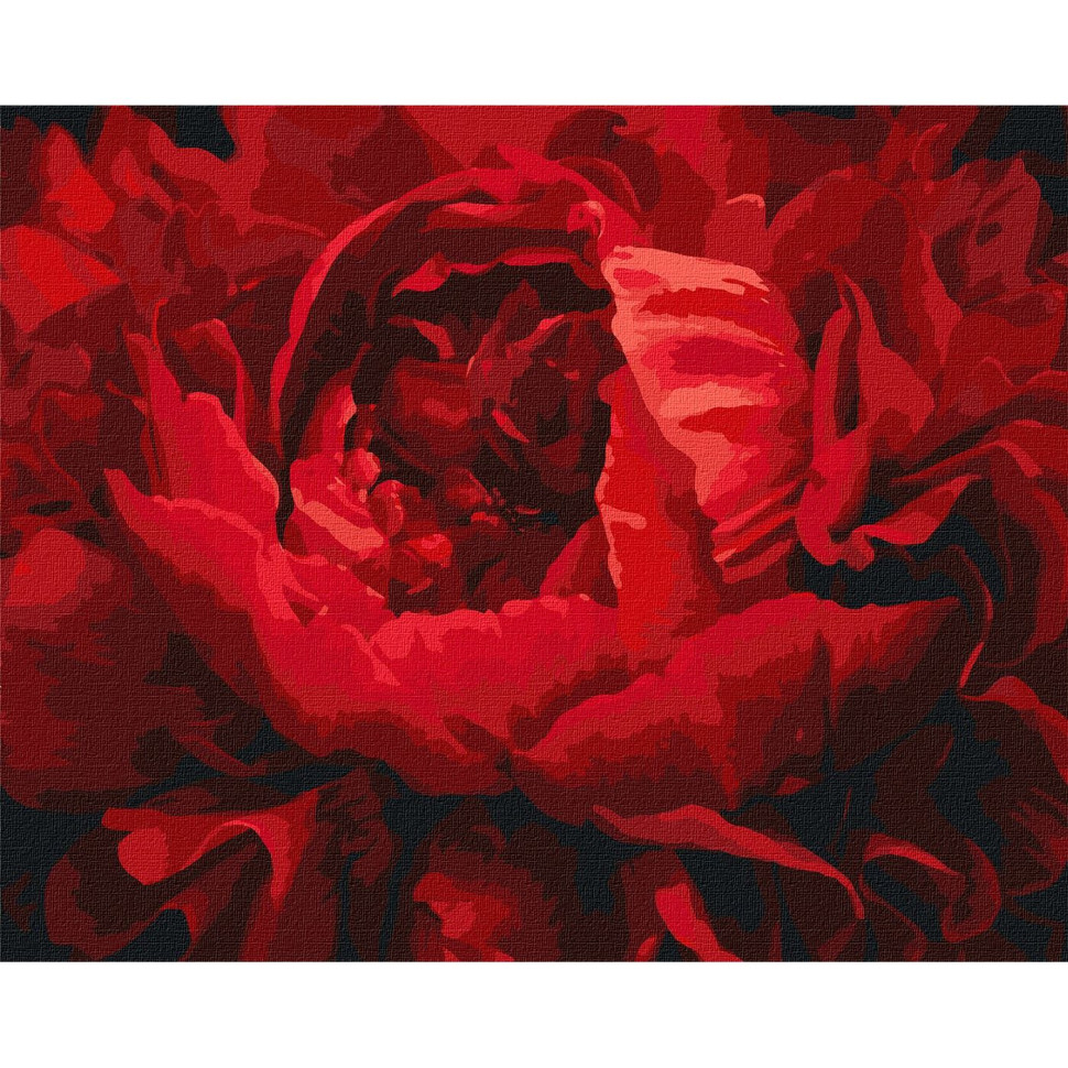 Картина по номерам "Изысканный цветок" Идейка KHO3121 40х50 см (Разные цвета)