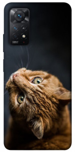 Чехол Рыжий кот для Xiaomi Redmi Note 11 Pro 5G