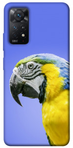 Чехол Попугай ара для Xiaomi Redmi Note 11 Pro 5G