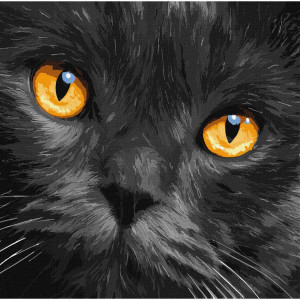 Картина по номерам "Янтарные глаза" Идейка KHO4391 40х40 см (Разные цвета)