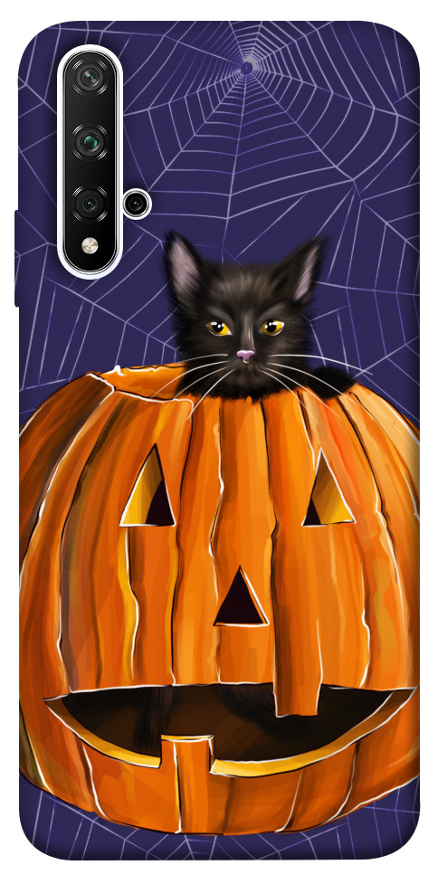 

Чехол Cat and pumpkin для Huawei Nova 5T 1504287