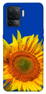 Чехол Sunflower для Oppo Reno 5 Lite