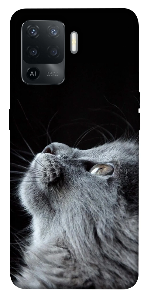 Чехол Cute cat для Oppo Reno 5 Lite