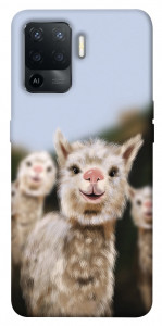 Чехол Funny llamas для Oppo Reno 5 Lite