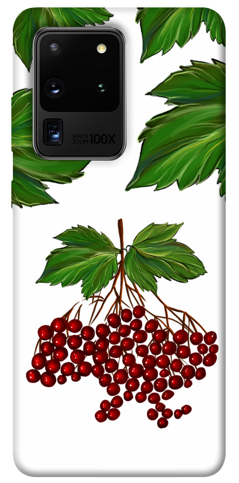 

Чохол Калина для Galaxy S20 Ultra (2020) 1510069