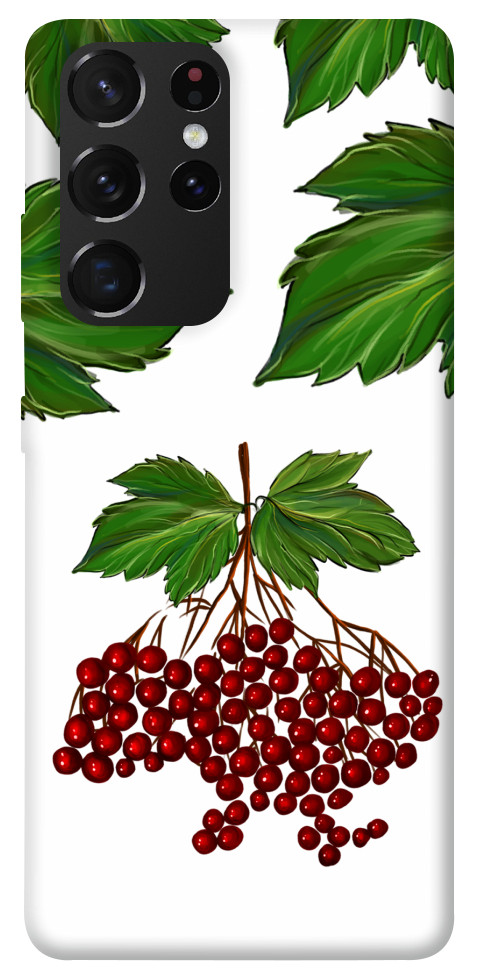 

Чехол Калина для Galaxy S21 Ultra 1510189