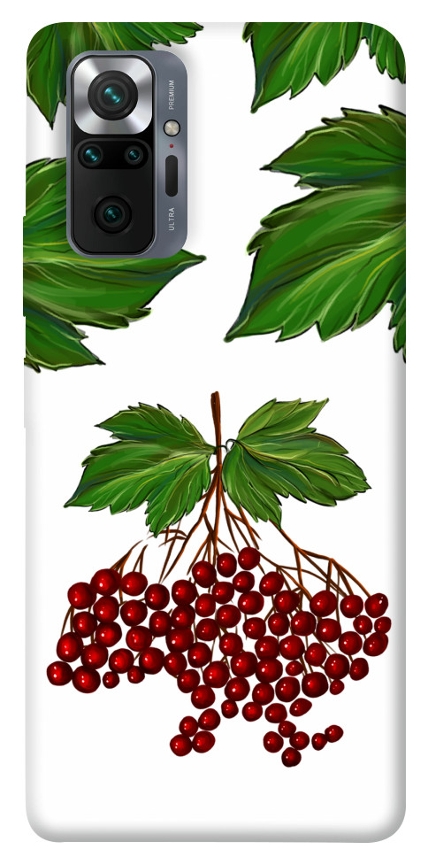

Чохол Калина для Xiaomi Redmi Note 10 Pro 1510196