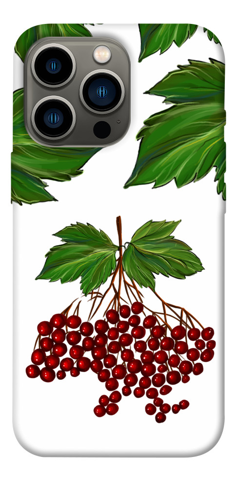 

Чехол Калина для iPhone 13 Pro 1510208