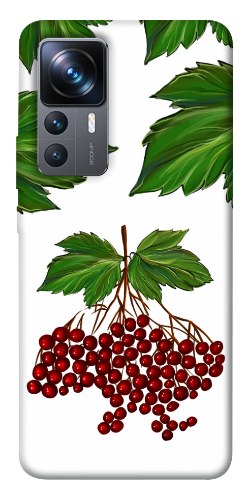 

Чехол Калина для Xiaomi 12T Pro 1510283