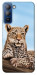 Чохол Proud leopard для TECNO Pop 5 LTE