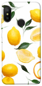 Чохол Lemons для Xiaomi Redmi 6 Pro