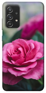 Чехол Роза в саду для Galaxy A52s