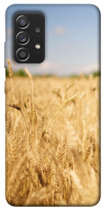 Чохол Поле пшениці для Galaxy A52s
