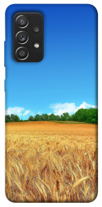 Чохол Пшеничне поле для Galaxy A52s