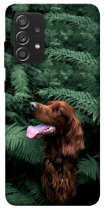 Чехол Собака в зелени для Galaxy A52s