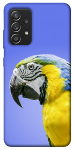 Чехол Попугай ара для Galaxy A52s