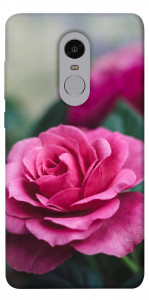 Чехол Роза в саду для Xiaomi Redmi Note 4 (Snapdragon)