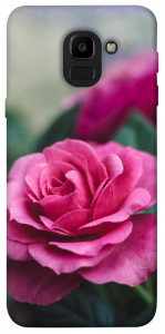 Чехол Роза в саду для Galaxy J6 (2018)