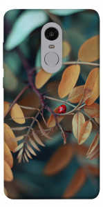 Чехол Божья коровка для Xiaomi Redmi Note 4 (Snapdragon)